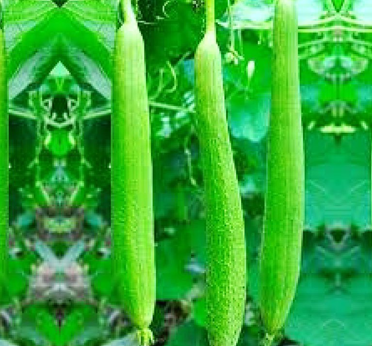 Haritha - 555