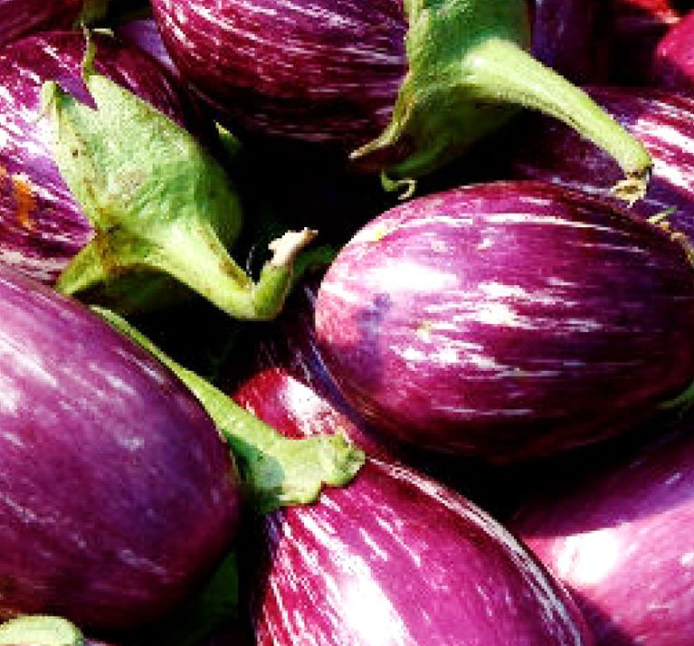 Kalyani Brinjal