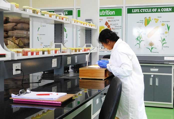 Laboratory Technician inspecting seed quality in agricultural lab