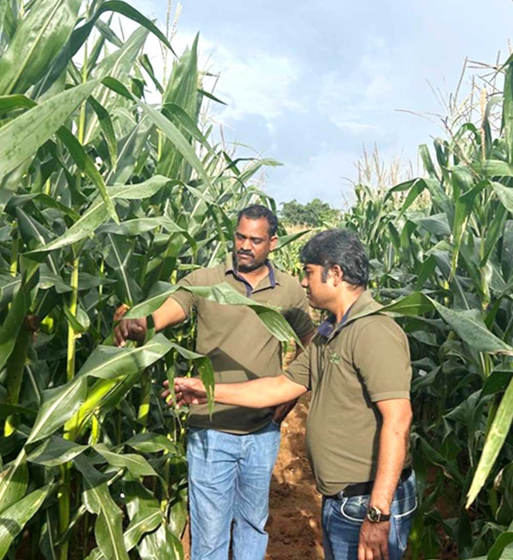 Agricultural Scientists in experimental crop field